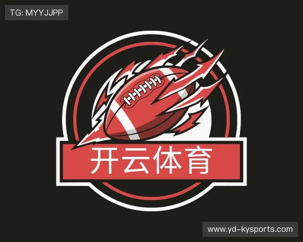 介绍开云网页版安全